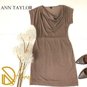 ANN TAYLOR Dress Size S
